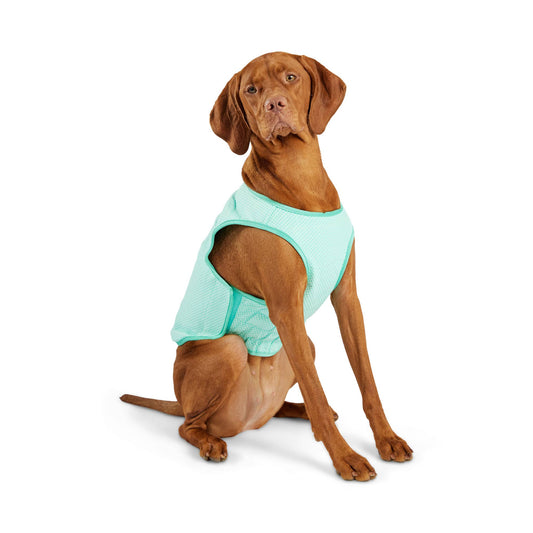 GF PET Elasto-Fit Ice Vest - Aqua: 3XL