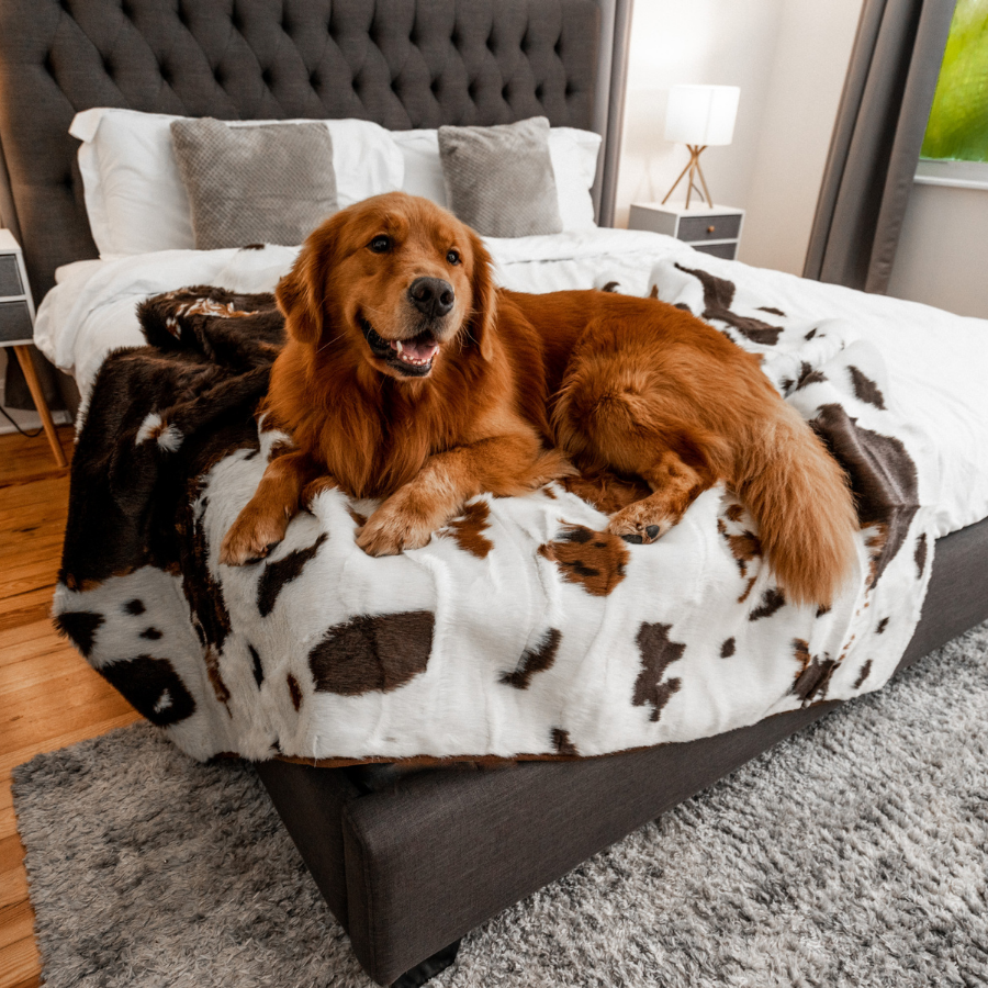 PupProtector™ Waterproof Throw Blanket - Brown Faux Cowhide: Large (80"L x 62"W)