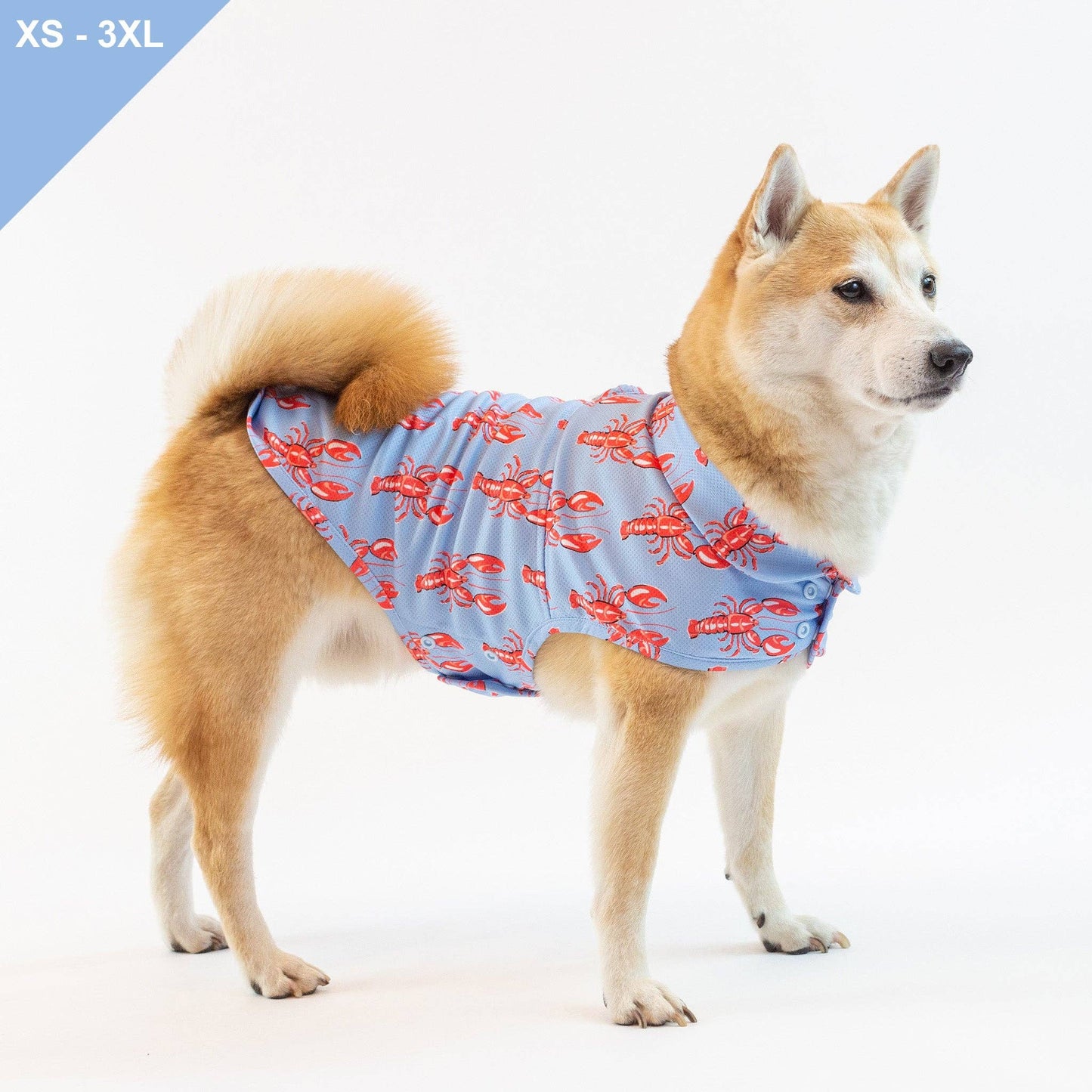 LCB Newport Cooling Jacket: XS