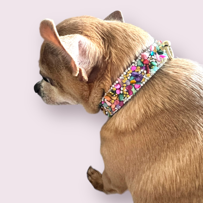 The Kelvin- Dog Collar: 14”
