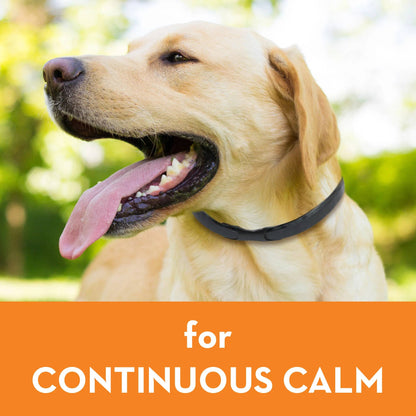 ThunderEase Dog Calming Collar: Small