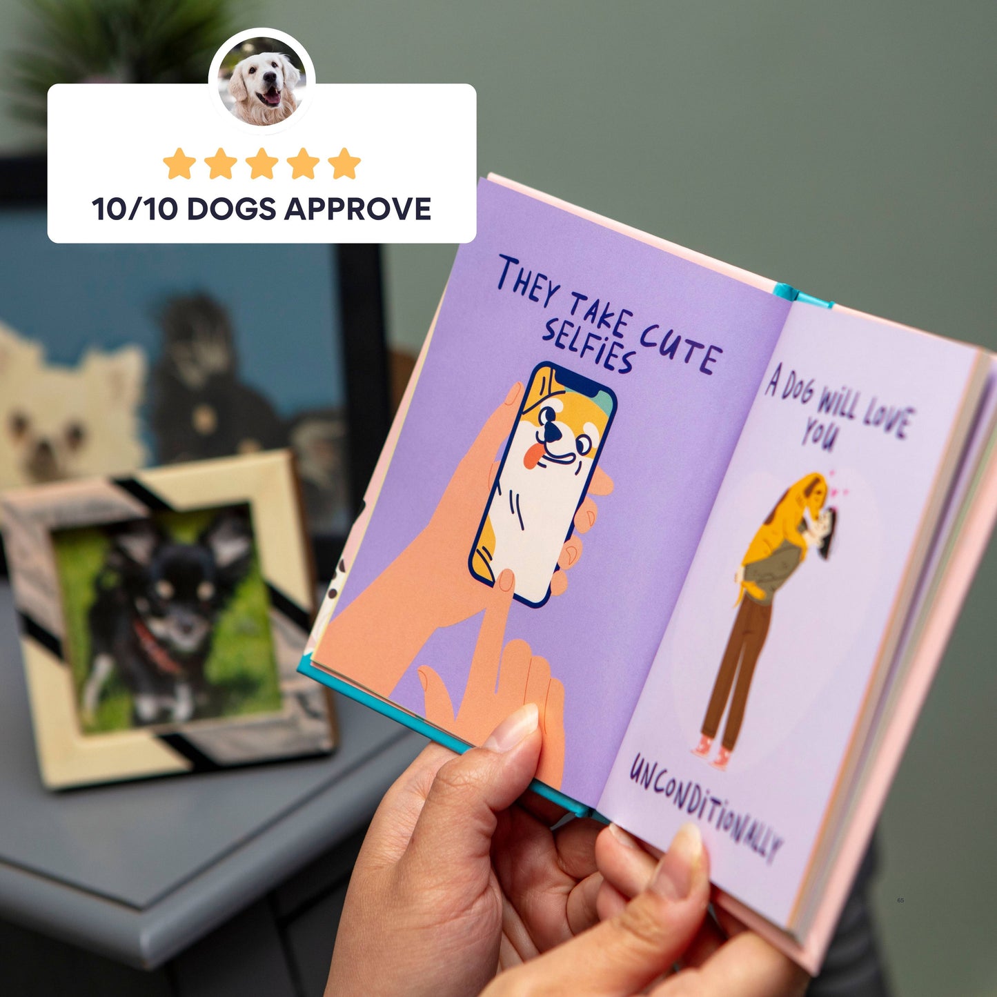 Who Needs A Man When You Have A Dog: Funny Dog Gift Books