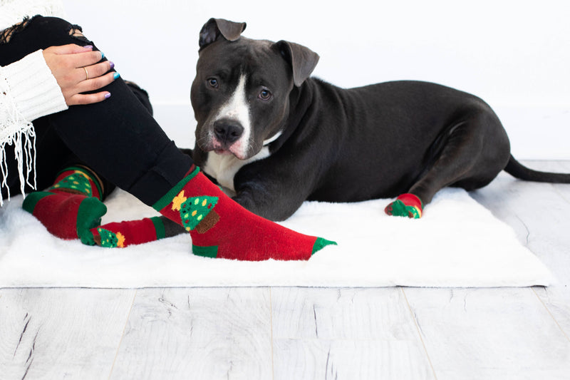 Human and Dog Matching Christmas Sock Set, Christmas Tree