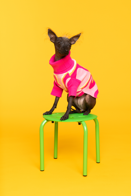 Pink Lemonade Pet Sweater: S