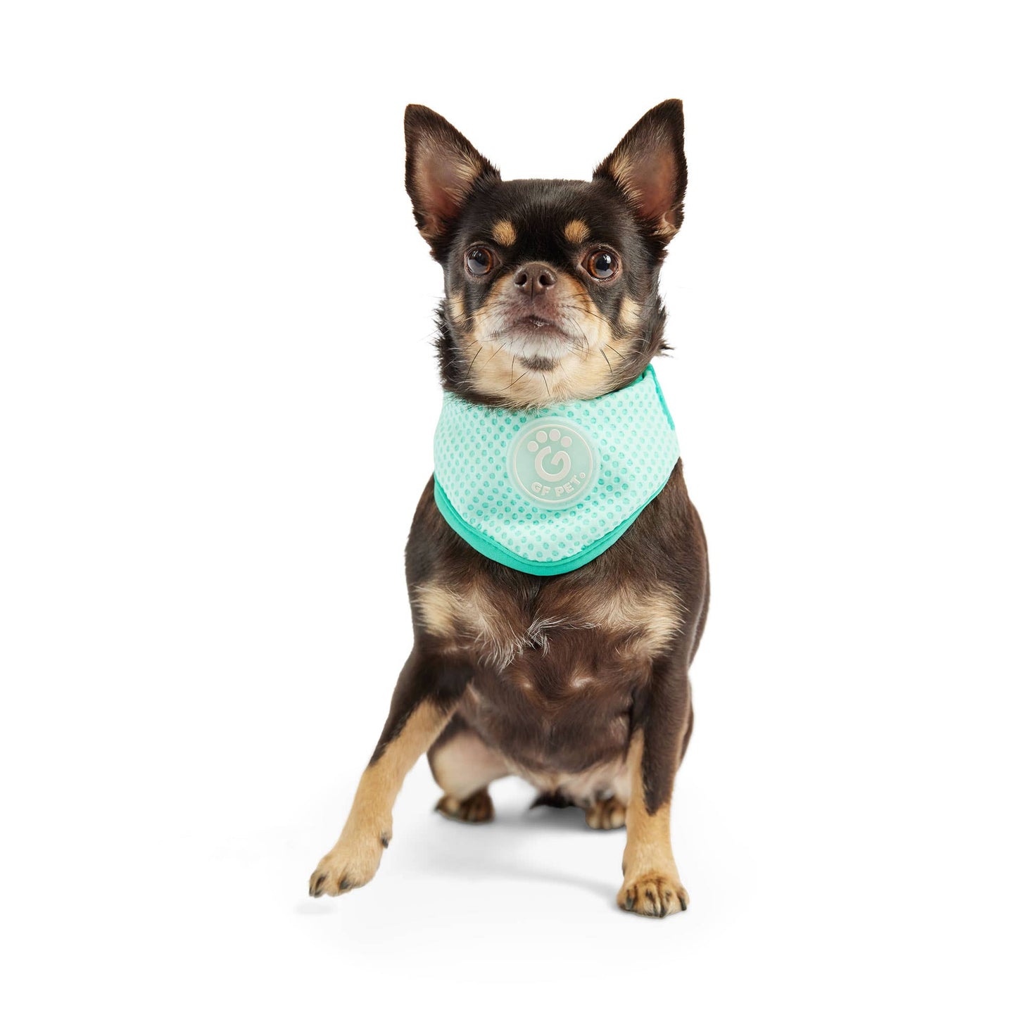 GF PET Ice Band - Dog Cooling Bandana - Aqua: L/XL