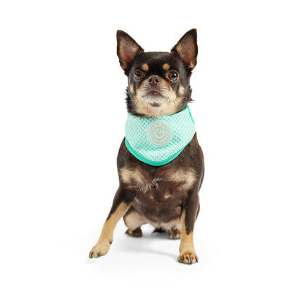 GF PET Ice Band - Dog Cooling Bandana - Aqua: L/XL