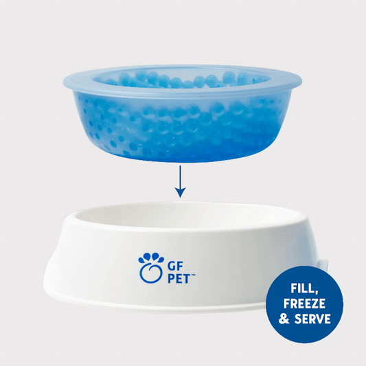 🐾 GF Pet Chill-Out Ice Bowl 🧊: White / 1 / ONE SIZE