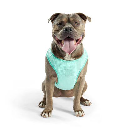 GF PET Elasto-Fit Ice Vest - Aqua: 3XL