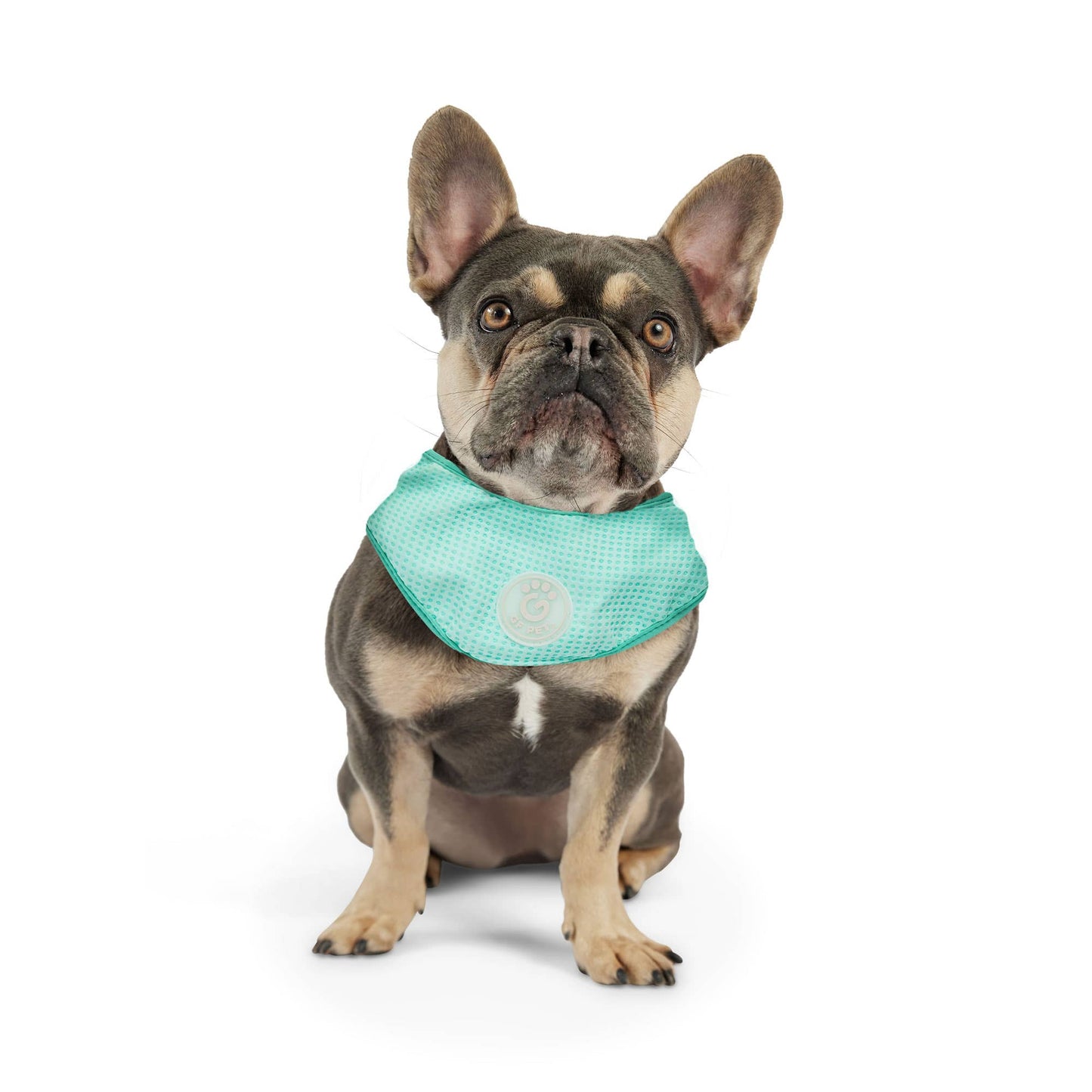 GF PET Ice Band - Dog Cooling Bandana - Aqua: L/XL
