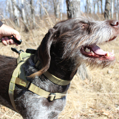 MAGNETIC QUICK CLIP HARNESS: Black / Small