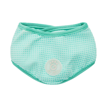 GF PET Ice Band - Dog Cooling Bandana - Aqua: L/XL