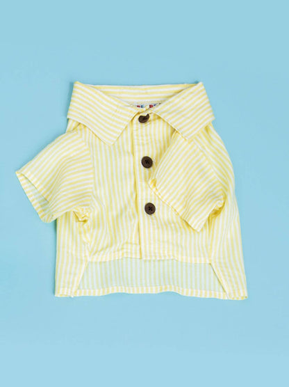 Nantucket Set: Unisex / Boxer Shorts / XS