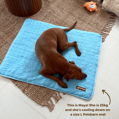 Cooling Mat - Pelsbarn 🐾: Beige / L