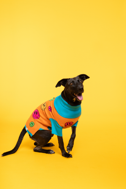 How Are You Feeling? Pet Sweater: S