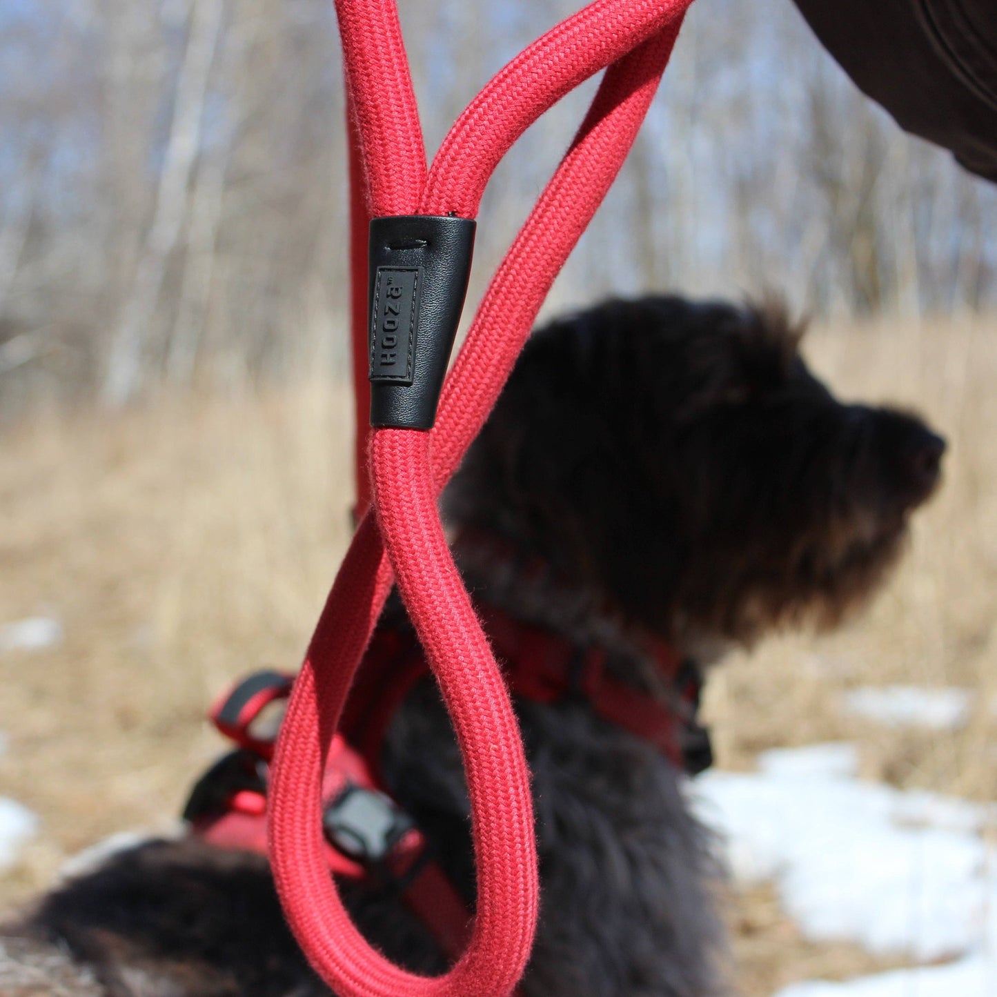 MAGNETIC QUICK CLIP ROPE LEASH: Blue / Medium/Large