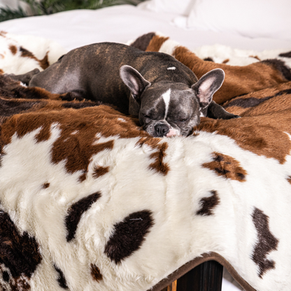 PupProtector™ Waterproof Throw Blanket - Brown Faux Cowhide: Large (80"L x 62"W)