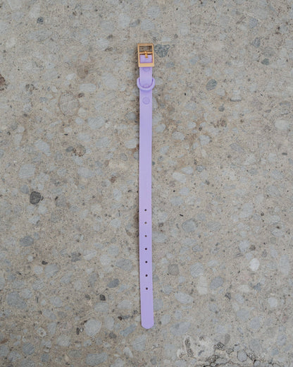 Lilac Waterproof Dog Collar: S