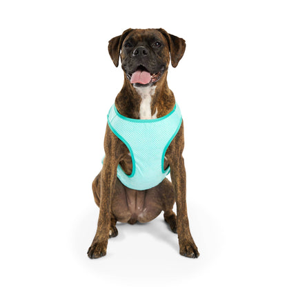 GF PET Elasto-Fit Ice Vest - Aqua: 3XL