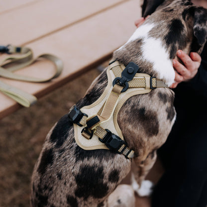 MAGNETIC QUICK CLIP CONTROL HARNESS: Black / Large