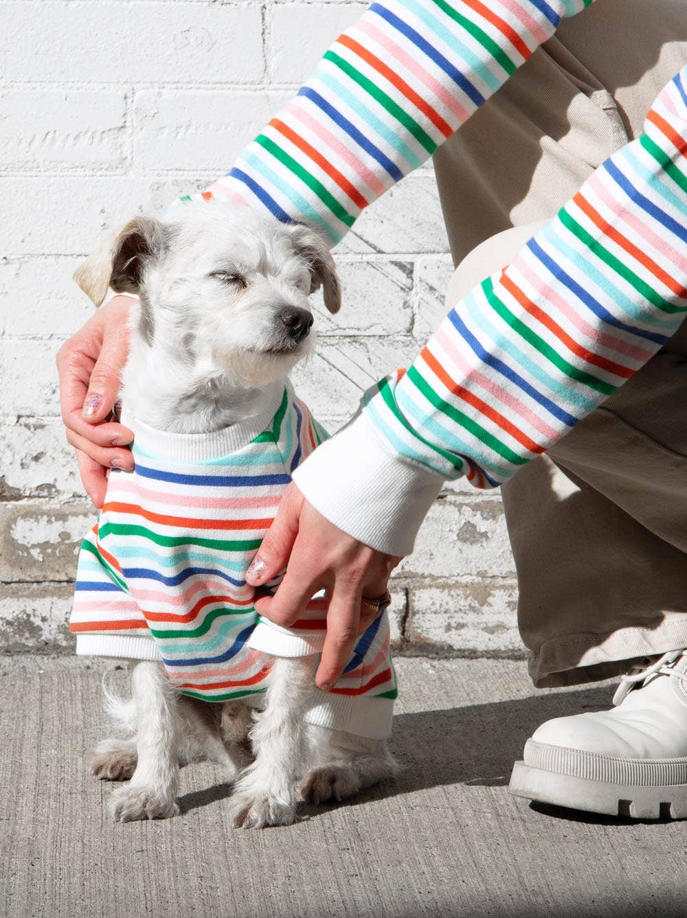 Happy Days Pullover: Dog / XXL (71-110lb dog)