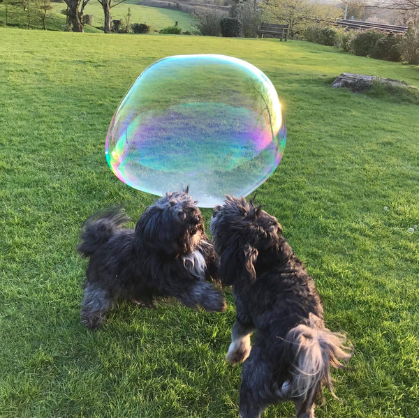 Doggy Bubbles