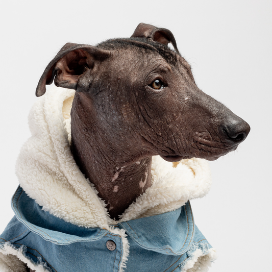 The Snuggle is real- denim and fur hoodie