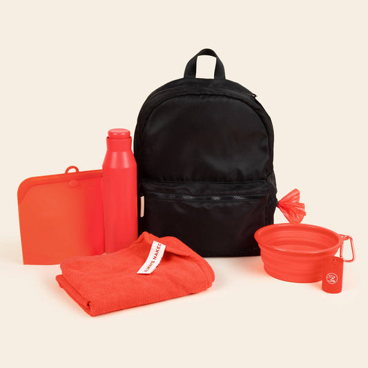 Take me with you- Doggy Diaper Bag