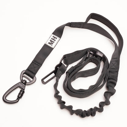 Go Go Gadget- bungee leash