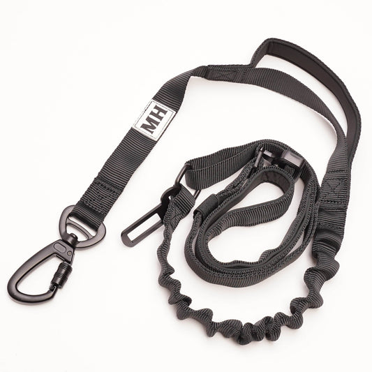 Go Go Gadget- bungee leash